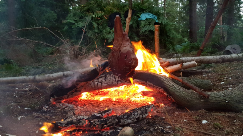 Our 4 hours wilderness living skills course